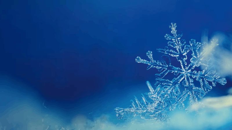 PEUGEOT BATTERIE- UND WINTERCHECK 2025